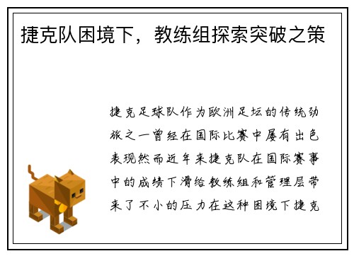 捷克队困境下，教练组探索突破之策