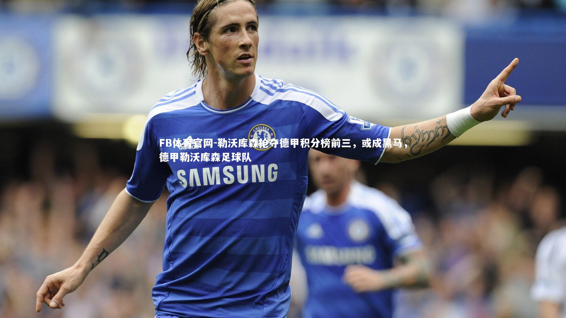 勒沃库森抢夺德甲积分榜前三,或成黑马,德甲勒沃库森足球队