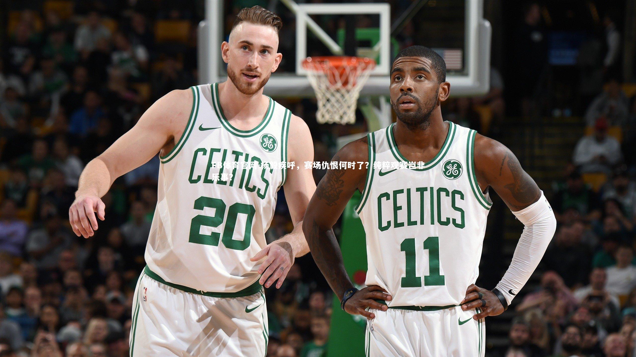 杨毅疾呼，赛场仇恨何时了？纯粹观赛岂非乐事？